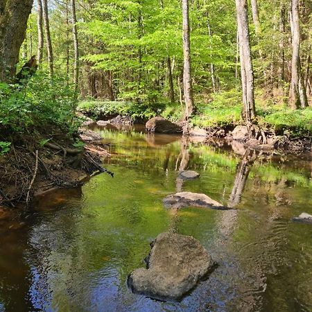 Byskolansvandrarhem Bronnestad Bagian luar foto
