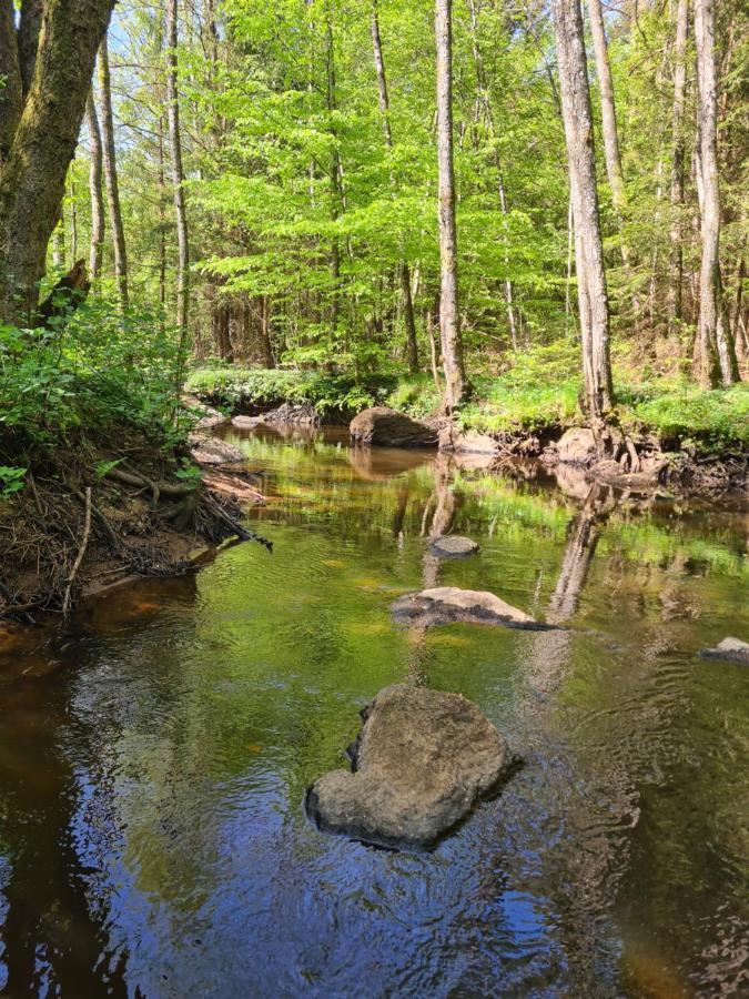 Byskolansvandrarhem Bronnestad Bagian luar foto